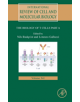 Biology of T Cells - Part A - 9780128153857-thumb