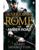 Warrior of Rome VI: The Amber Road - 9780141046181-thumb