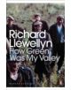 How Green Was My Valley - 9780141185859-thumb