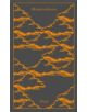 Metamorphoses - 9780141394619-thumb