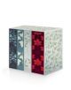 The Bronte Sisters (Boxed Set) - 9780241248768-thumb
