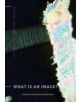 What Is an Image? - 9780271050652-thumb