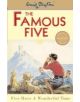 Famous Five: Five Have A Wonderful Time - 9780340681169-thumb