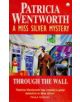 Through the Wall - 9780340689684-thumb