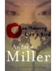 One Morning Like a Bird - 9780340825150-thumb