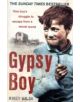 Gypsy Boy - 9780340977989-thumb