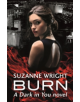 Burn - 9780349413167-thumb