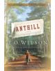 Anthill - 9780393339703-thumb