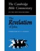 The Revelation of John - 9780521042086-thumb