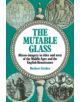 The Mutable Glass - 9780521222037-thumb