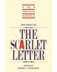 New Essays on 'The Scarlet Letter' - 9780521266765-thumb