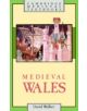 Medieval Wales - 9780521311533-thumb