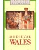 Medieval Wales - 9780521323178-thumb
