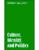 Culture, Identity, and Politics - 9780521334389-thumb