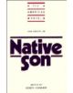 New Essays on Native Son - 9780521343190-thumb