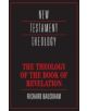 The Theology of the Book of Revelation - 9780521356916-thumb