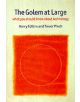The Golem at Large - 9780521551410-thumb