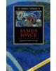 The Cambridge Companion to James Joyce - 9780521837101-thumb