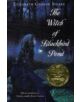 The Witch of Blackbird Pond - 9780547550299-thumb