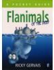 Flanimals of the Deep - 9780571234042-thumb