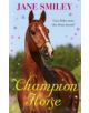 Champion Horse - 9780571299508-thumb