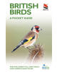 British Birds - 9780691181677-thumb