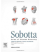 Sobotta Tables of Muscles, Joints and Nerves, English - 9780702052545-thumb