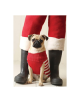 Pug Elf Notecards - 9780735352322-thumb
