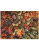 Пъзел Good Puzzle - Пролетна гора, 1000 части - Good Puzzle Co. - BVBA Vekemans - 9780735371620-2-thumb