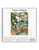 Пъзел Galison: House of Plants, 1000 части - Galison - Galison Publishing LLC - 9780735371910-4-thumb