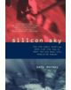 Silicon Sky - 9780738203126-thumb