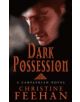 Dark Possession - 9780749908676-thumb
