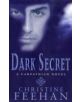 Dark Secret - 9780749938536-thumb
