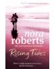 Rising Tides - 9780749952624-thumb