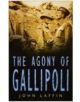The Agony of Gallipoli - 9780750936392-thumb