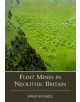 Neolithic Flint Mines in Britain - 9780752414812-thumb