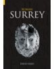 Roman Surrey - 9780752428895-thumb