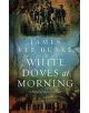 White Doves At Morning - 9780752842752-thumb
