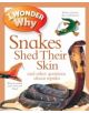 I Wonder Why Snakes Shed Their Skin - 9780753431214-thumb