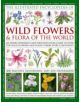 Illustrated Encyclopedia of Wild Flowers & Flora of the World - 9780754819721-thumb
