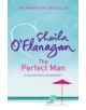 The Perfect Man - 9780755343812-thumb
