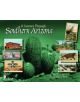 A Journey through Southern Arizona - 9780764332692-thumb