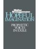 Hopeful Imagination - 9780800619251-thumb