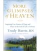 More Glimpses of Heaven - 9780800734404-thumb