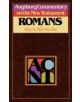 Augsburg Commentary on the New Testament - 9780806688640-thumb