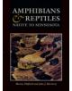 Amphibians and Reptiles Native to Minnesota - 9780816623846-thumb