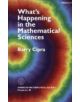 What's Happening in the Mathematical Sciences, Volume 3 - 9780821803554-thumb