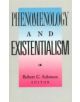 Phenomenology and Existentialism - 9780822630128-thumb
