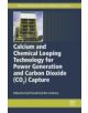Calcium and Chemical Looping Technology for Power Generation and Carbon Dioxide (Co2) Capture - 9780857092434-thumb