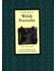 A Little Book of Welsh Proverbs - 9780862816247-thumb